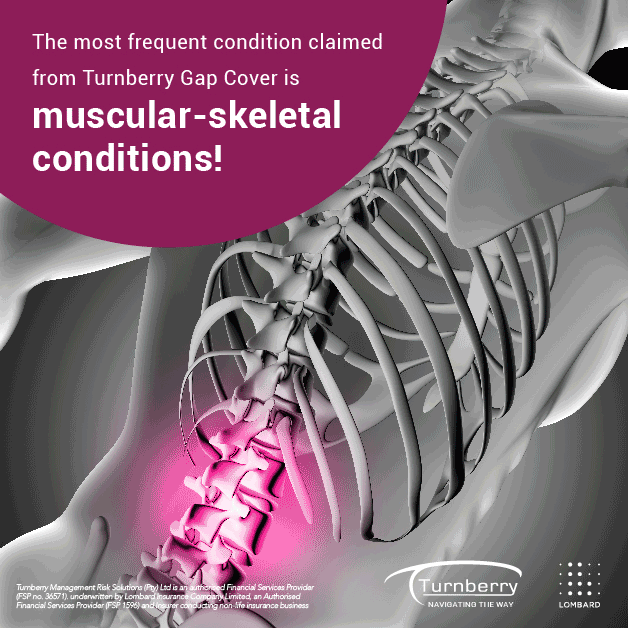 muscular skeletal